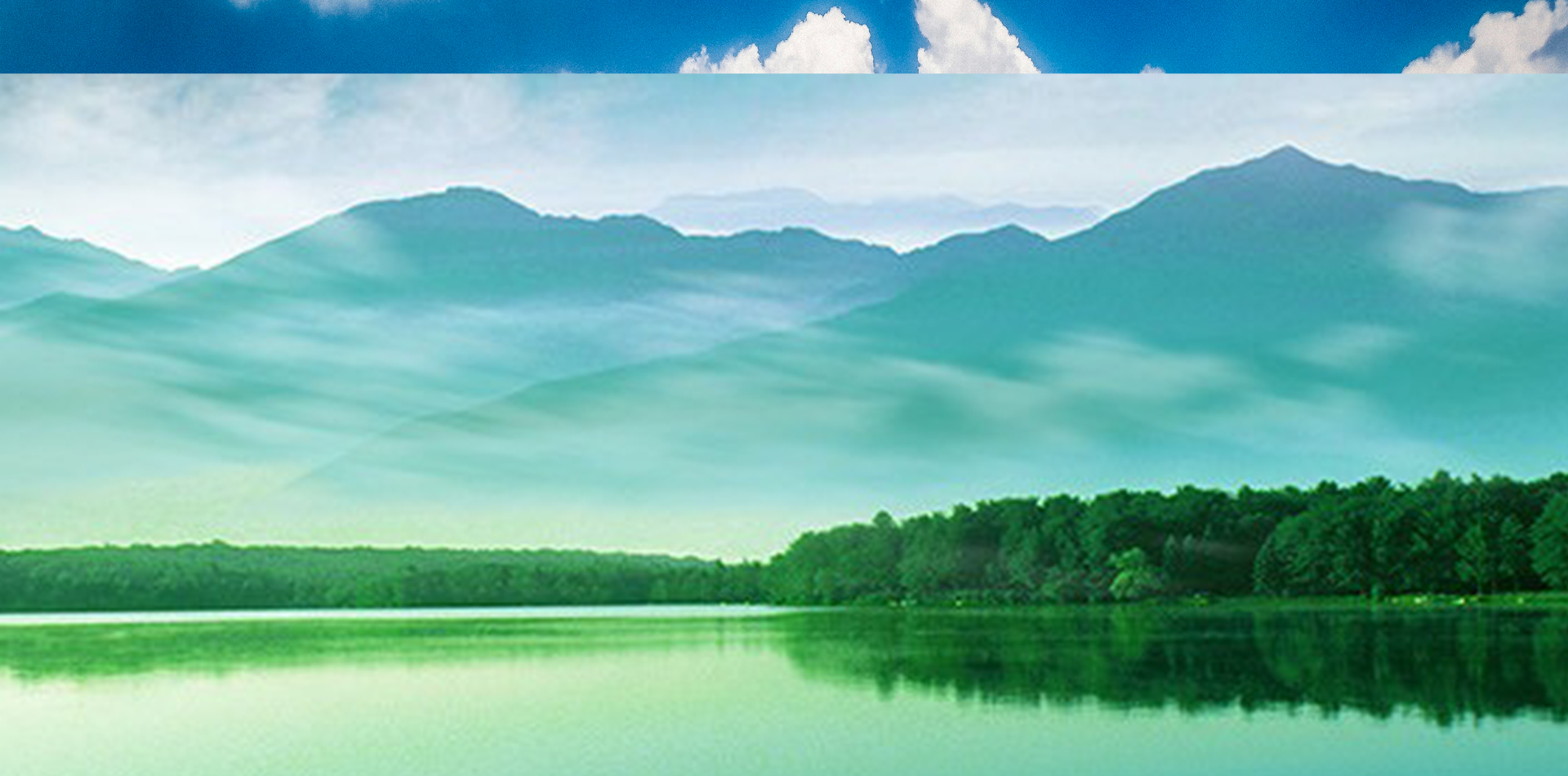 肉雞屠宰加工廠(chǎng)